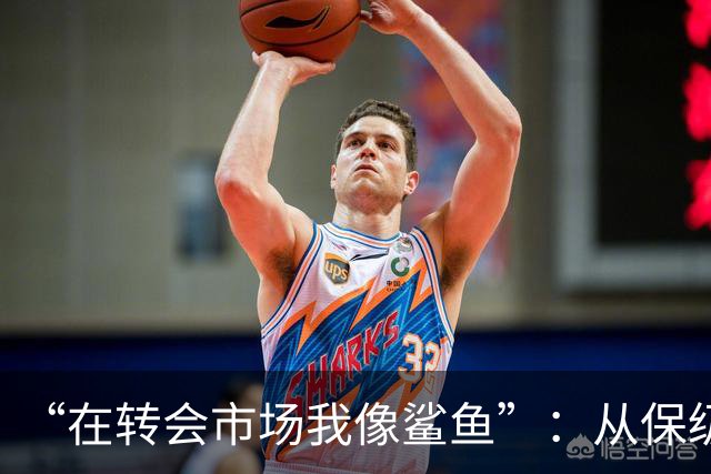 “在转会市场我像鲨鱼”：从保级到豪掷三亿，德泽尔比如何让热刺从落泪走向笑声