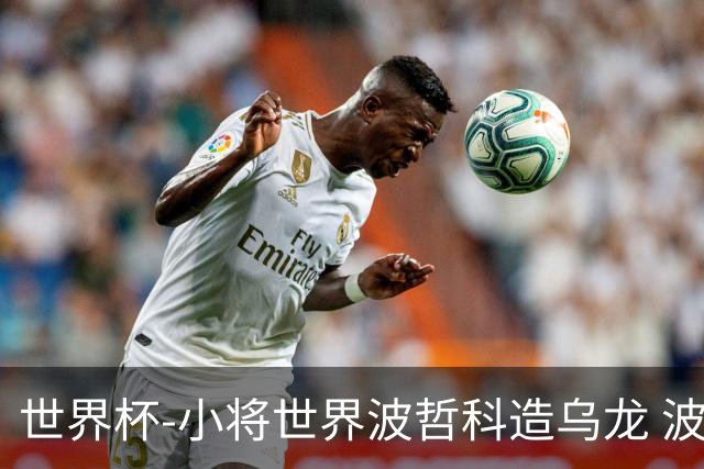 世界杯-小将世界波哲科造乌龙 波黑半场暂2-1卡塔尔