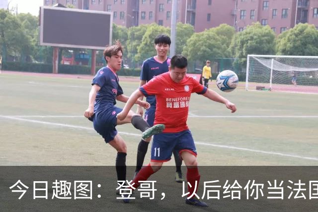 今日趣图：登哥，以后给你当法国队队长，今年的金球奖你看......