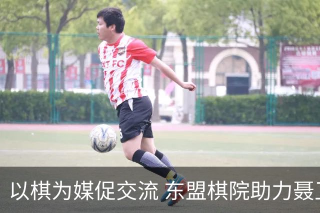 以棋为媒促交流 东盟棋院助力聂卫平杯棋牌大师赛