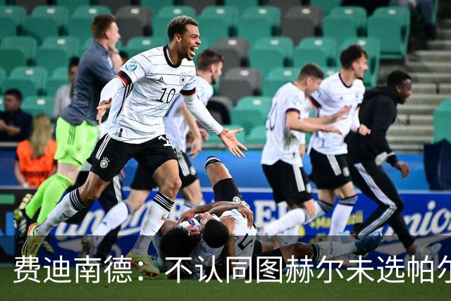 费迪南德：不认同图赫尔未选帕尔默的决定，后者在大赛证明过自己