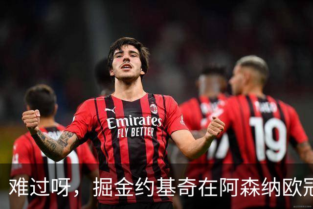 难过呀，掘金约基奇在阿森纳欧冠决赛后，加油助威的喜悦化为乌有