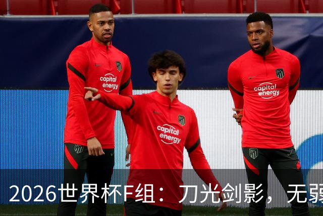 2026世界杯F组：刀光剑影，无弱旅的生死较量