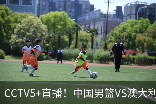 CCTV5+直播！中国男篮VS澳大利亚，杨瀚森缺阵，郭士强或改打五小
